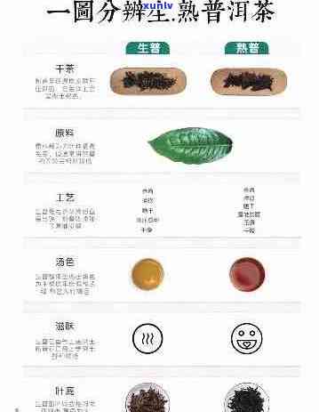 普洱茶的独特气味：原因、种类和如何处理