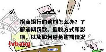 招行信用卡逾期核实信息处理全攻略：如何应对、解决逾期问题及相关注意事项