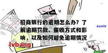 招商银行逾期6个月：用户关注的问题解答及可能的后果