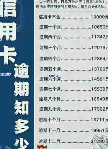 东营信用卡逾期还款分期解决方案：详细步骤、费用和注意事项一览