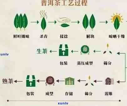 千山一叶大益普洱茶：品质、历、 *** 工艺与品饮技巧全面解析