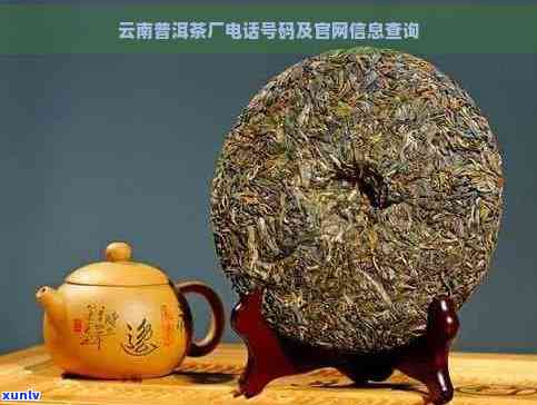 云泰号普洱茶官网的勐海云泰号茶业普洱茶