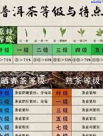 普洱茶的多种类型：如何选择适合你的普洱茶？