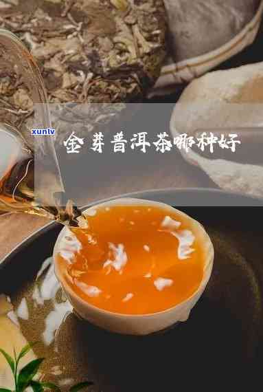 金芽普洱茶的营养价值与健益处