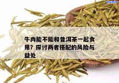 牛黄解片与普洱茶同时食用的安全性：一次全面的分析