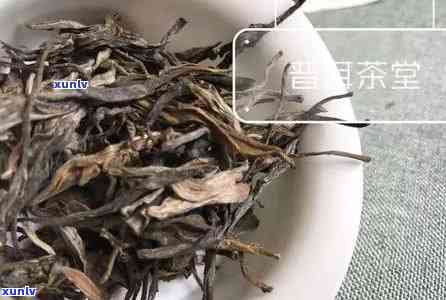 普洱茶价格区间及品质对比：好一点的普洱茶大约多少钱一斤？