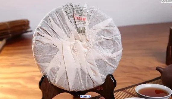 老普洱茶的魅力：必须品还是个人选择？