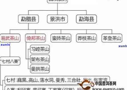 新班章茶区、班章茶类、班章茶山和班章茶厂的茶叶详细介绍