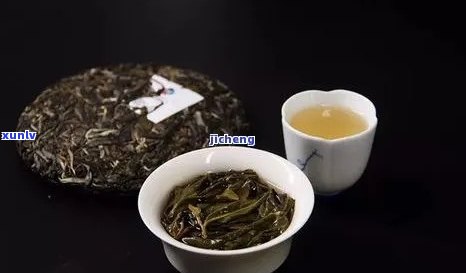 易武普洱茶春天特色：品鉴与购买指南