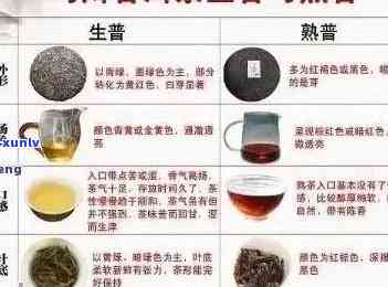 全面解析：普洱茶极品，挑选技巧与品鉴 *** 一应俱全