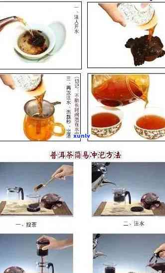 从熟普洱茶泡好到品尝完：全面指南与品鉴技巧