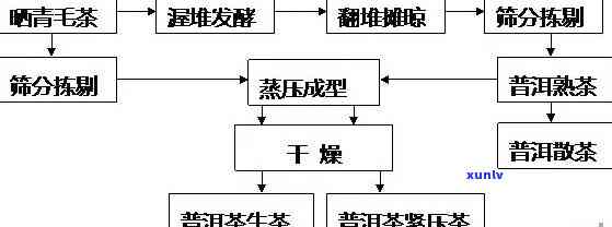 普洱茶与大红袍茶的联合 *** ：一种全新的茶叶加工 *** 及其技巧