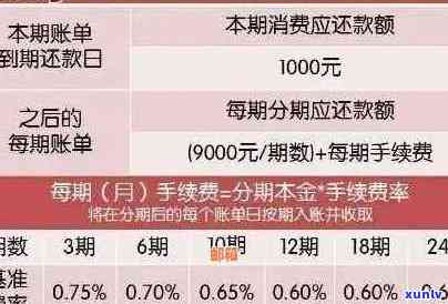 新信用卡逾期后如何进行账单对账并解决问题？