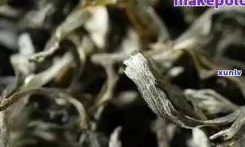 普洱有薄荷的味道是咋回事：探讨普洱茶中薄荷口感及生普洱薄荷香的原因