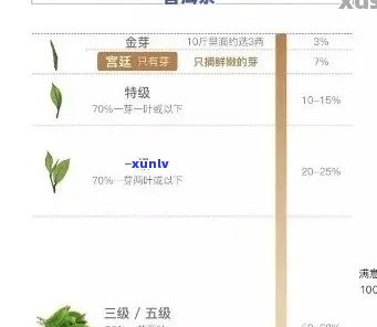 普洱茶4位数字等级含义与区分：揭示普洱茶唛号与品质关系