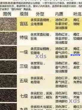 普洱茶4位数字等级含义与区分：揭示普洱茶唛号与品质关系