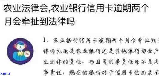 2020年农行信用卡逾期还款新规定：如何应对逾期挑战与解决策略