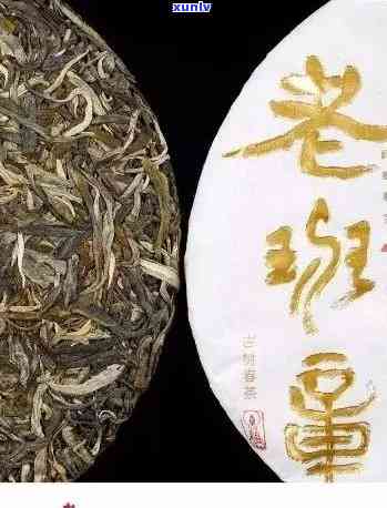 大益普洱茶的：陈年老树、精工艺与千年传承的故事