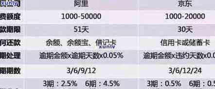 信用卡逾期还款热线：解答疑惑，助您规划财务