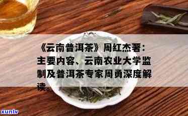 周红杰普洱茶怎么样