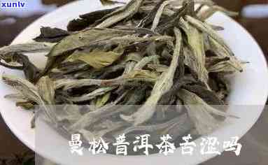 曼松普洱茶的苦和涩