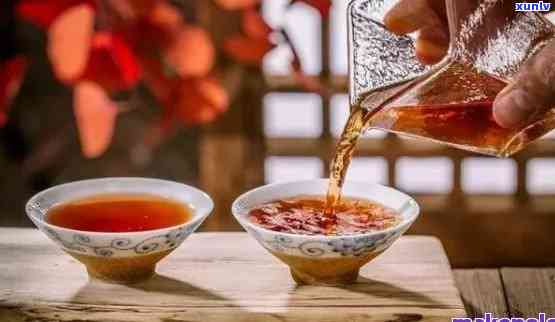 有一天子的普洱茶：何谓普洱茶？又是什么成语？