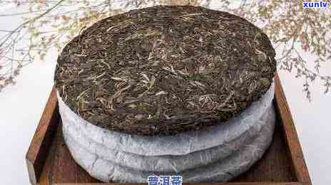 普洱茶价格区间解析：一斤多少钱才算好的普洱茶？