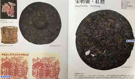 70年代鼎兴号普洱茶：一款珍贵的历茶品，品味与鉴全解析