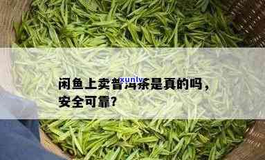 闲鱼卖的大益普洱茶正品安全，能买吗？