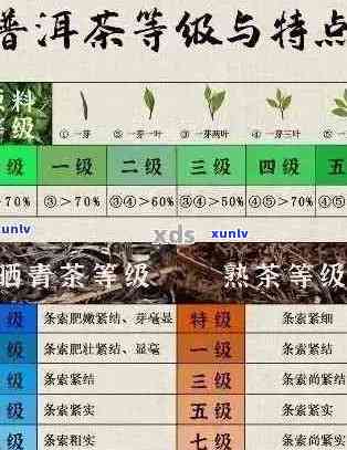 陈粮号茶叶：品质、历、种类、泡法全方位解析，助您挑选最适合的茶叶