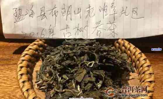 彩程普洱茶古树陈香价格，375克仅XXX元！解析其低价原因及品质排名。