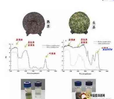 B货普洱茶的潜在健风险：喝还是不喝？