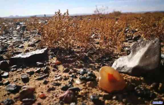 达旗捡石头的地方在哪里？达拉特旗和左旗有捡石头的地方吗？