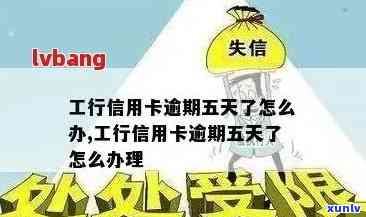 工行信用卡逾期催款短信解决方案：如何应对、理解短信内容及有效措