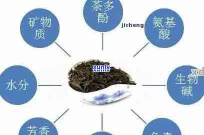 普洱茶中的香水：探索这款独特的茶叶品种及其香气来源