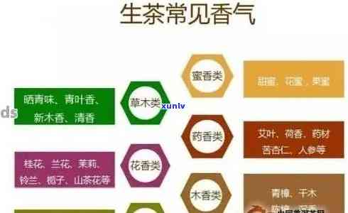 普洱茶的香气成分及其对人体健的影响：全面解析与品鉴技巧