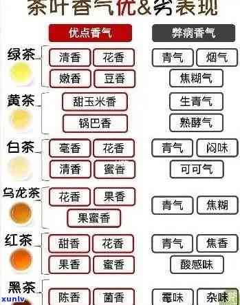 普洱茶的香气成分及其对人体健的影响：全面解析与品鉴技巧