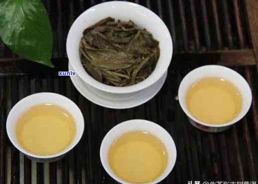 普洱茶四大名茶全面解析：了解每一种茶叶的独特特点与品饮 *** 