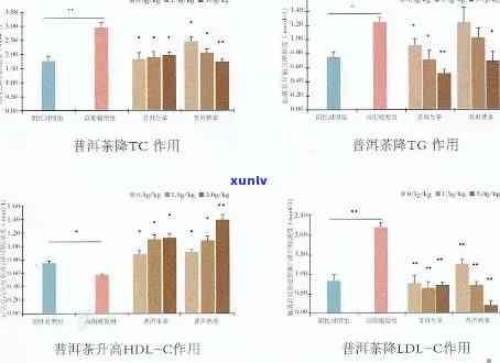 普洱茶对脂肪肝的影响：预防、治疗与生活方式的调整