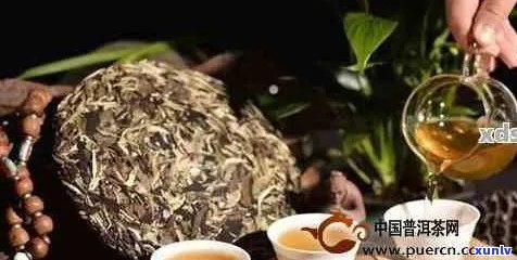 普洱茶对胃肠炎患者是否适宜？喝普洱茶可能对胃肠炎症状产生哪些影响？