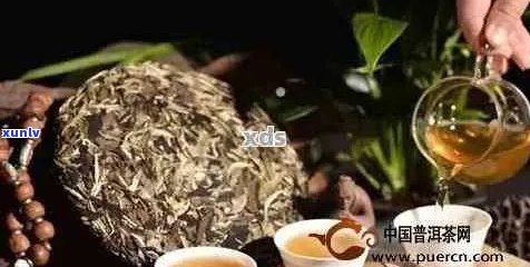 普洱茶对急性肠胃炎的作用与注意事项：如何安全饮茶缓解肠胃不适