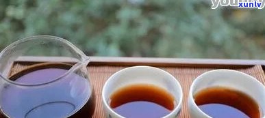 一碗普洱茶能冲几次茶：探究茶叶与茶杯的使用次数