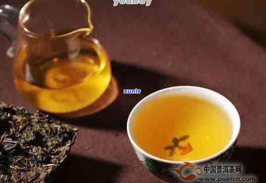 一碗普洱茶能冲几次茶：探究茶叶与茶杯的使用次数