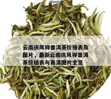 风庆普洱茶生产厂家地址查询