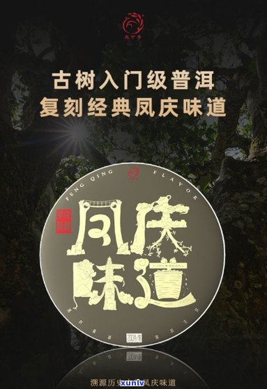 风庆普洱茶生产厂家地址查询