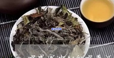 喝普洱茶解感冒药吗