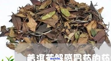 喝普洱茶解感冒药吗