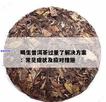 普洱茶的十一年传奇之旅：品质与文化的融合