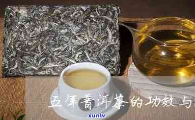 五年生普洱茶的功效：深入探究五年以上的生普洱茶的奇妙效益