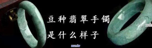 翡翠豆种品种详解：从选购到鉴别，全面掌握翡翠豆种的各类知识